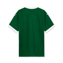Palmeiras 2025/26 I Home Jersey - Fan Version