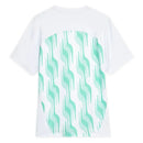 Palmeiras Pre Match 2025/26 - Fan Version