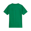Palmeiras Training Green Jersey 2025/26