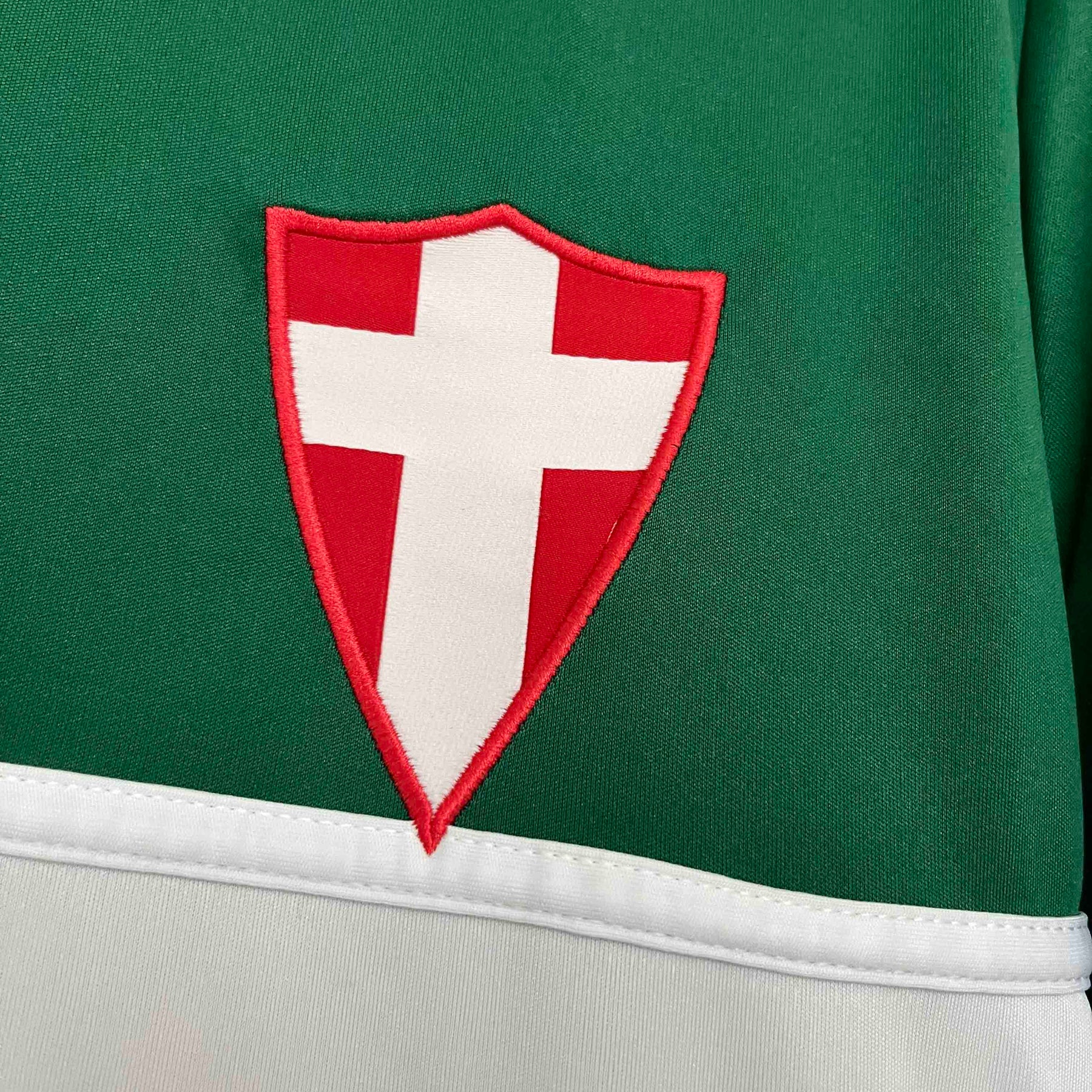 Palmeiras Retro Special Edition Green 2014