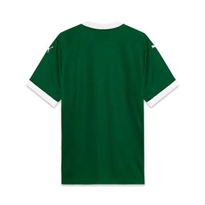 Combo Palmeiras Home + Away + Third 2025/26 Fan Jersey