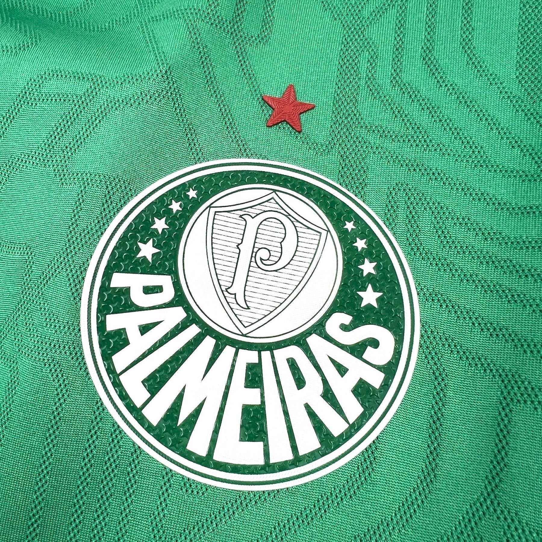 Palmeiras Short Training Green Jersey 2025/26 - Fan Version