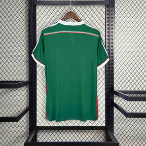 Palmeiras Retro Special Edition Green 2014