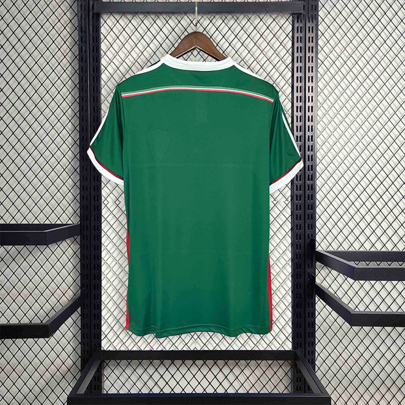 Palmeiras Retro Special Edition Green 2014