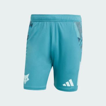 Cruzeiro Training Shorts 2025/26