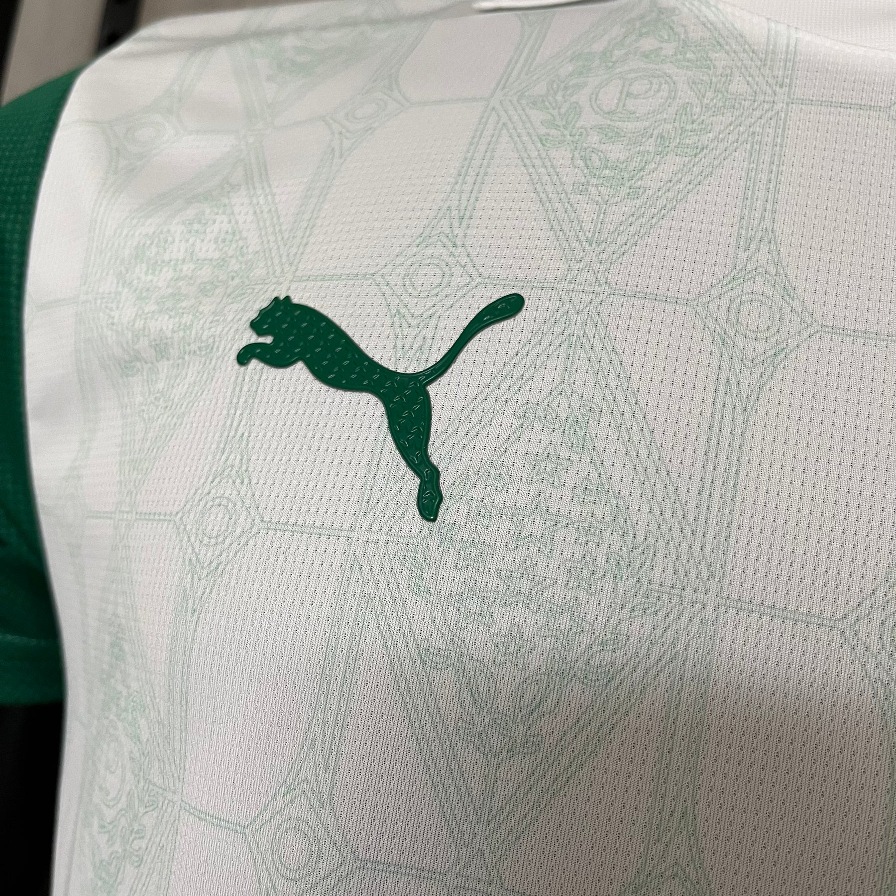 Palmeiras 2025/26 II Away Jersey - Player Version