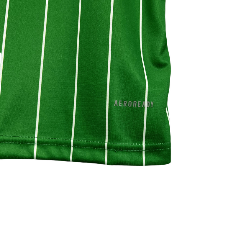 Celtic F.C. 24/25 Commemorative Edition Jersey - Fan Version