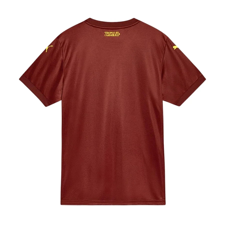 Bahia 2025/26 III Third Jersey - Fan Version