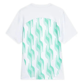 Palmeiras Pre Match 2025/26 - Fan Version