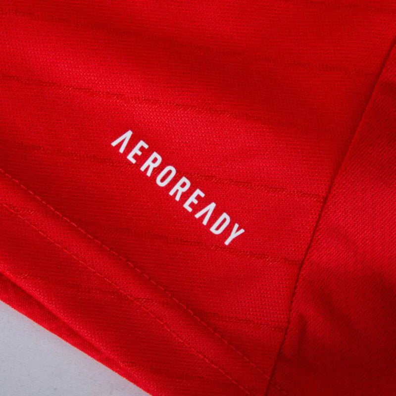 Benfica 2024/25 I Home Fan Jersey - Patchs UCL UEFA  Foundation (Official Printing)