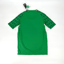 Palmeiras Special Edition Green 2024/25