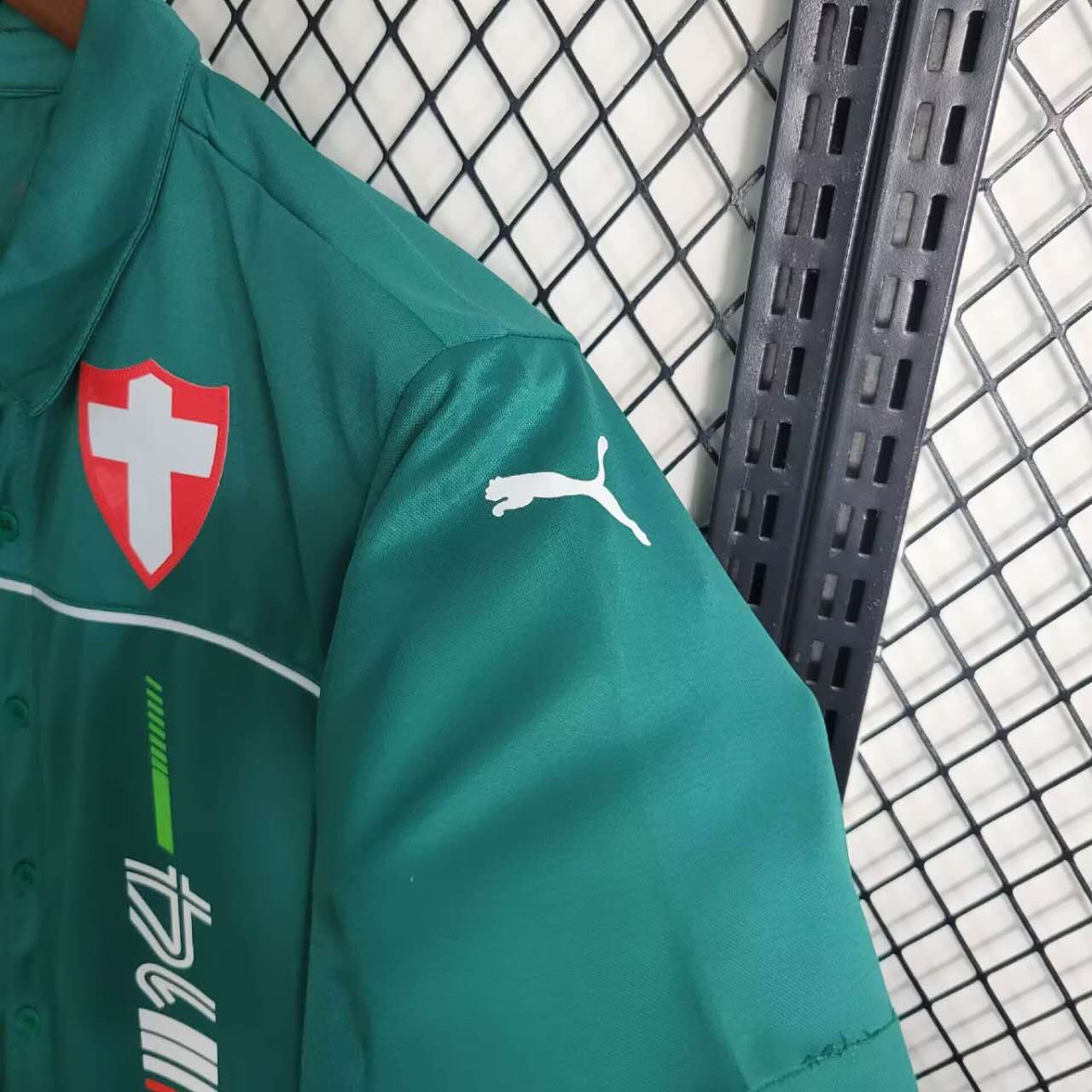 Palmeiras Special Edition Motorsport