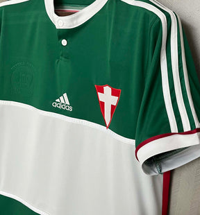 Palmeiras Retro Special Edition Green 2014