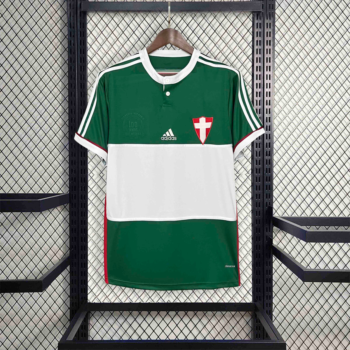 Palmeiras Retro Special Edition Green 2014