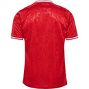 Denmark 24/25 I Home Jersey - Fan Version