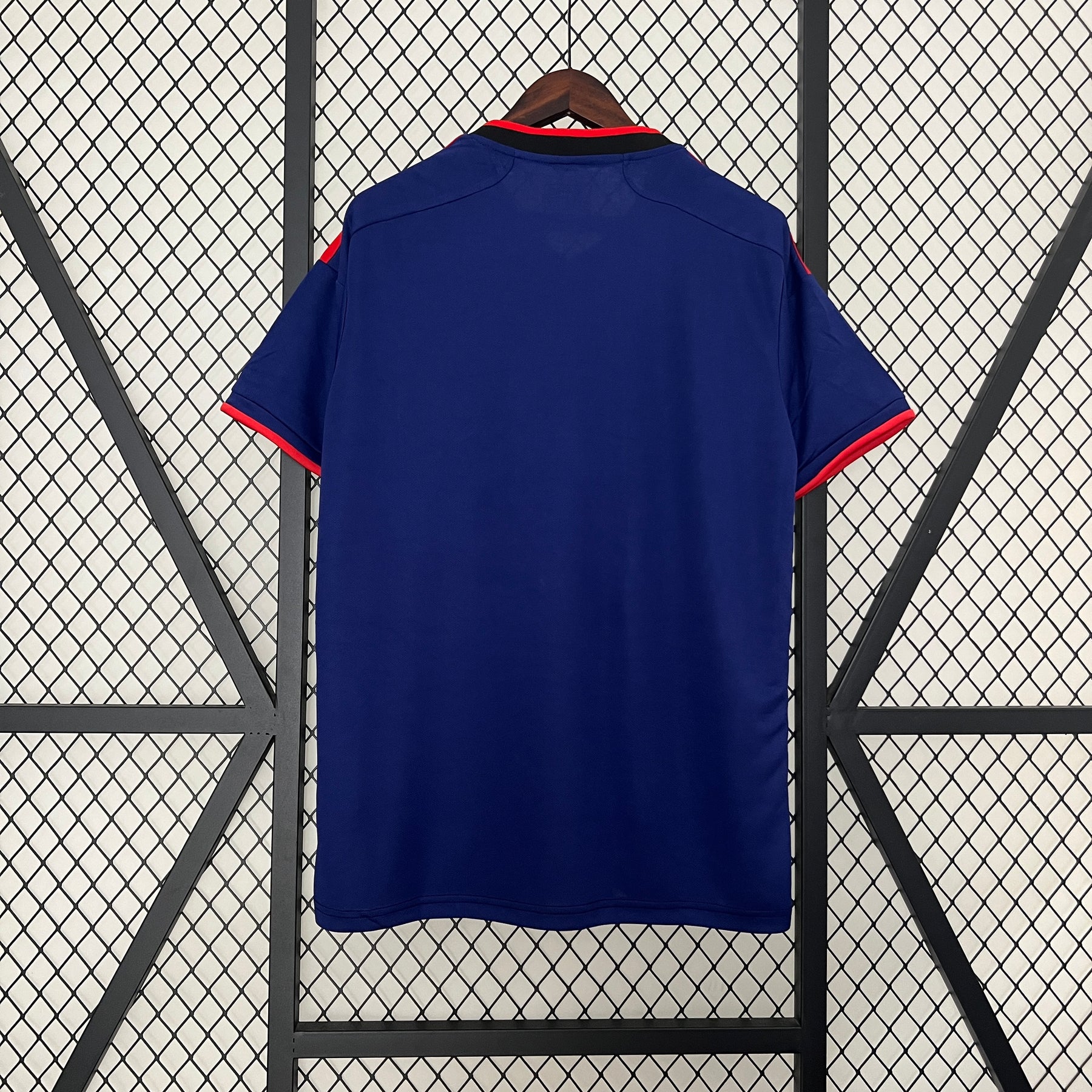 Japan 2024/25 Limited Edition - Fan Version