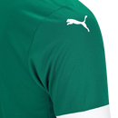 Palmeiras 2025/26 I Home Jersey - Fan Version