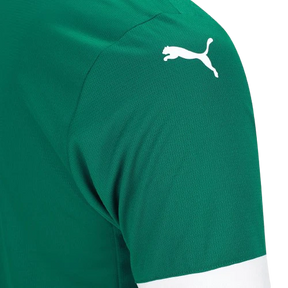 Palmeiras 2025/26 I Home Jersey - Fan Version