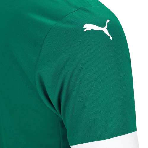 Palmeiras 2025/26 I Home Jersey - Fan Version
