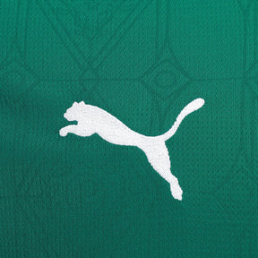 Palmeiras 2025/26 I Home Jersey - Fan Version