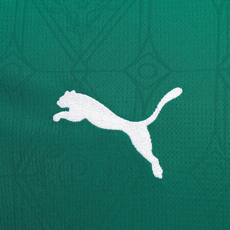 Palmeiras 2025/26 I Home Jersey - Fan Version