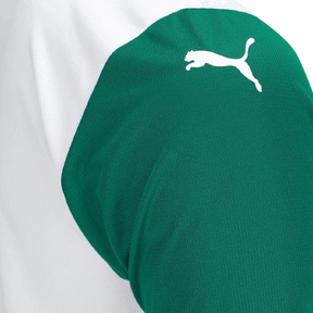 Palmeiras 2025/26 II Away Jersey - Fan Version