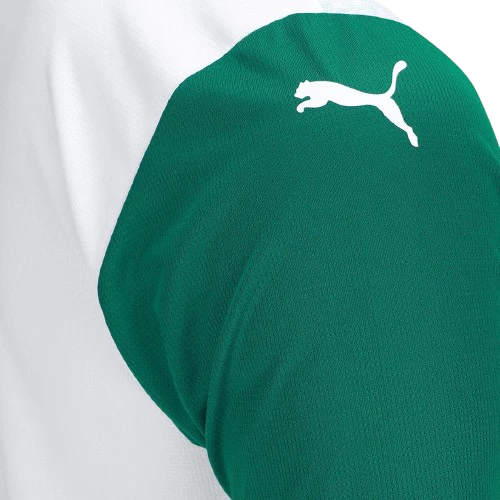 Palmeiras 2025/26 II Away Jersey - Fan Version